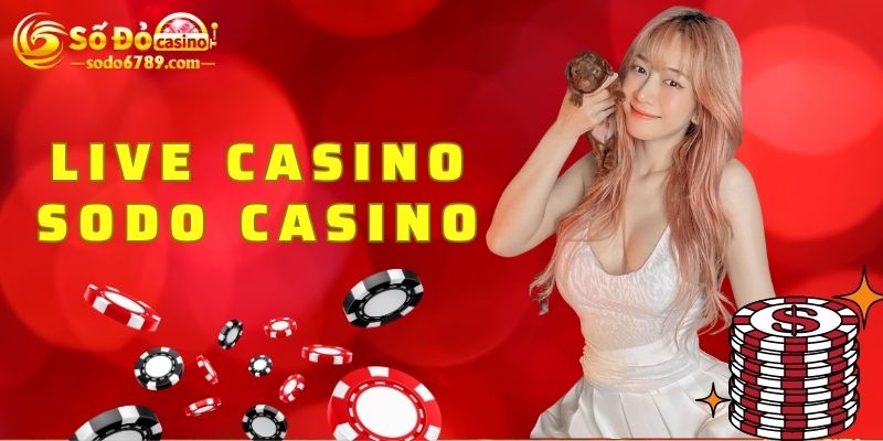 Sân chơi Live Casino hấp dẫn